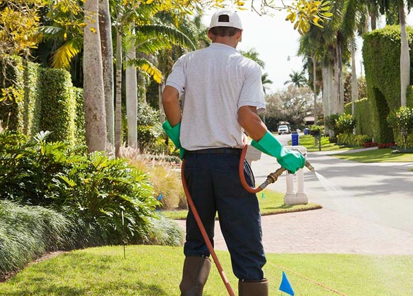 About Townsend VA Pest Control